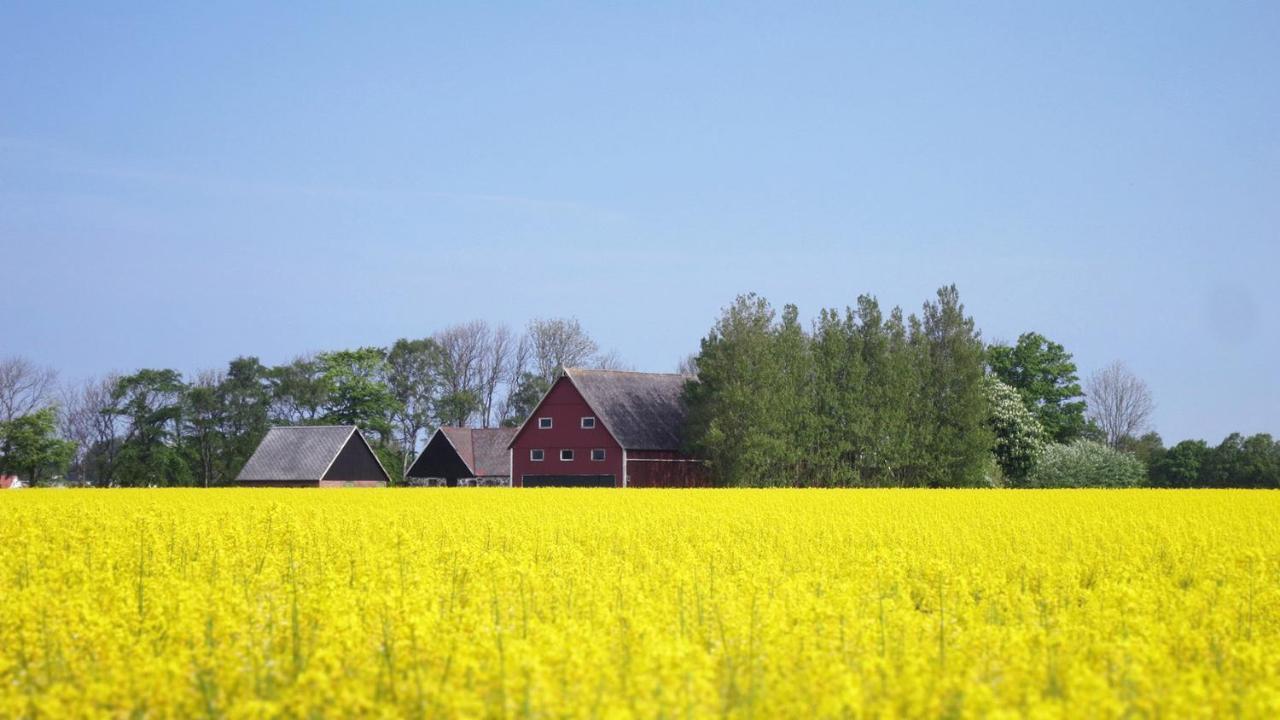Vikens Bed And Breakfast Viken  Luaran gambar